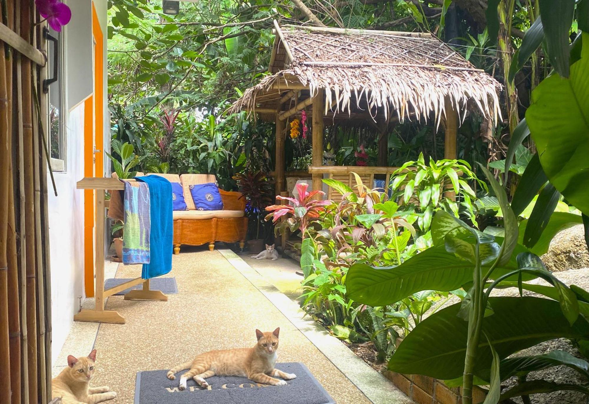 Villa Oasis 3, 4, Or 5 Bedroom Karon