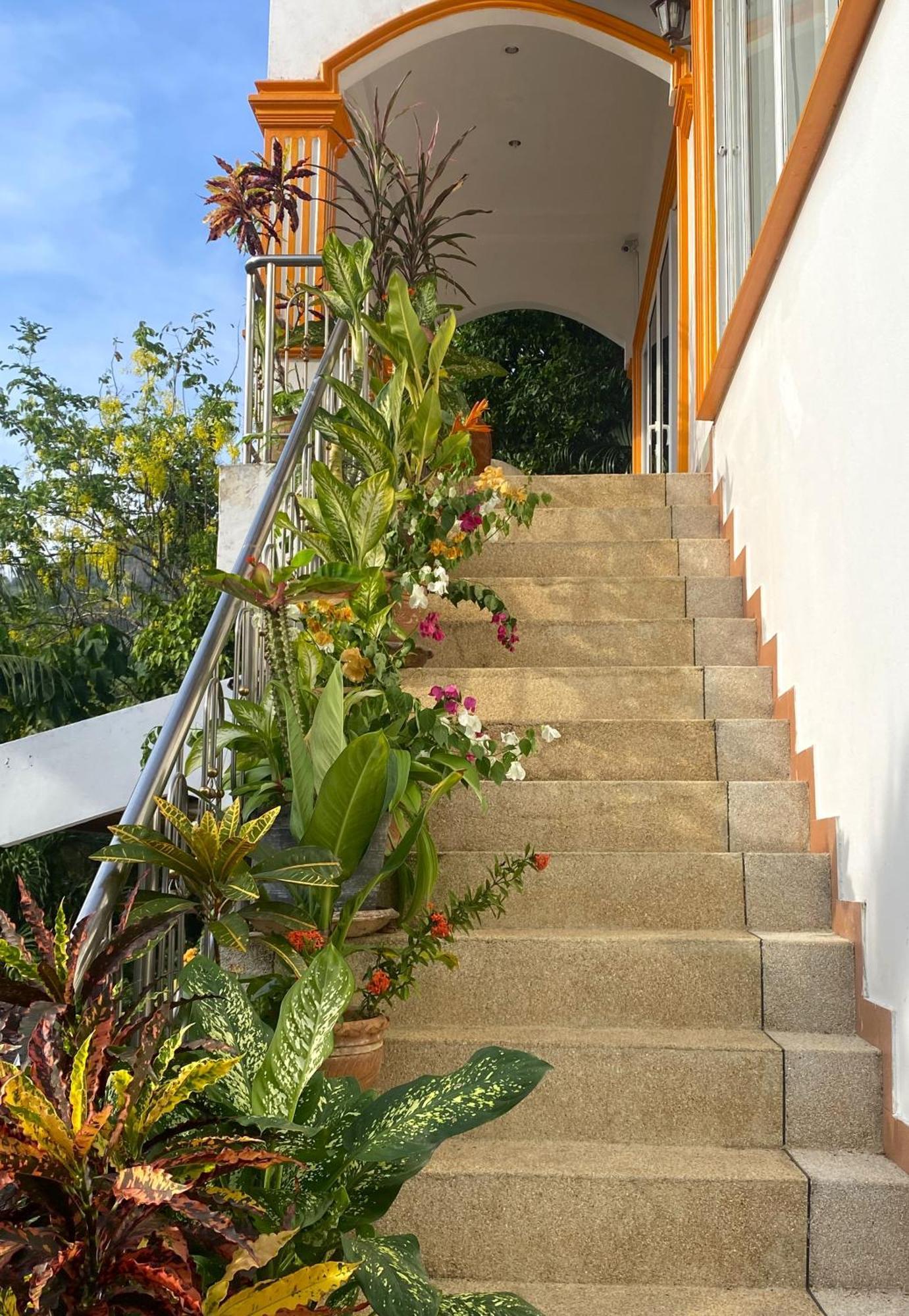 Oasis 3, 4, Or 5 Bedroom Villa Karon