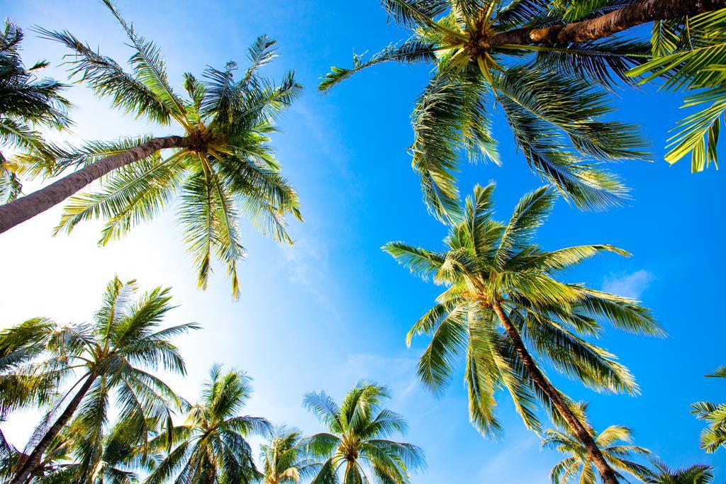Coconut Village Phuket - Sha Extra 4*