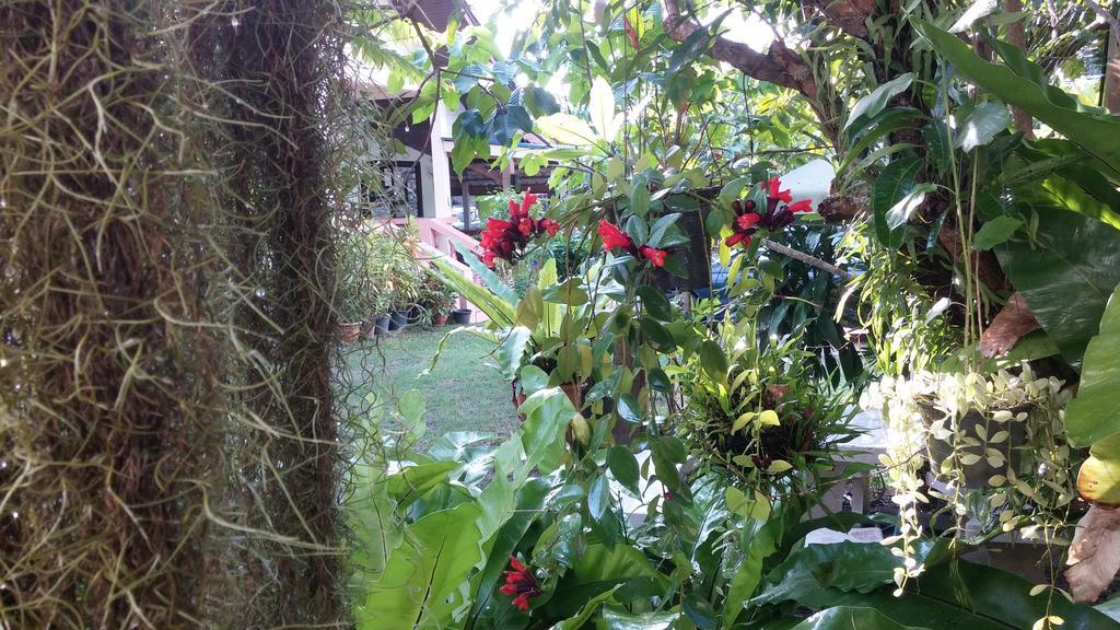 Casa de hóspedes Wattana Nai Yang