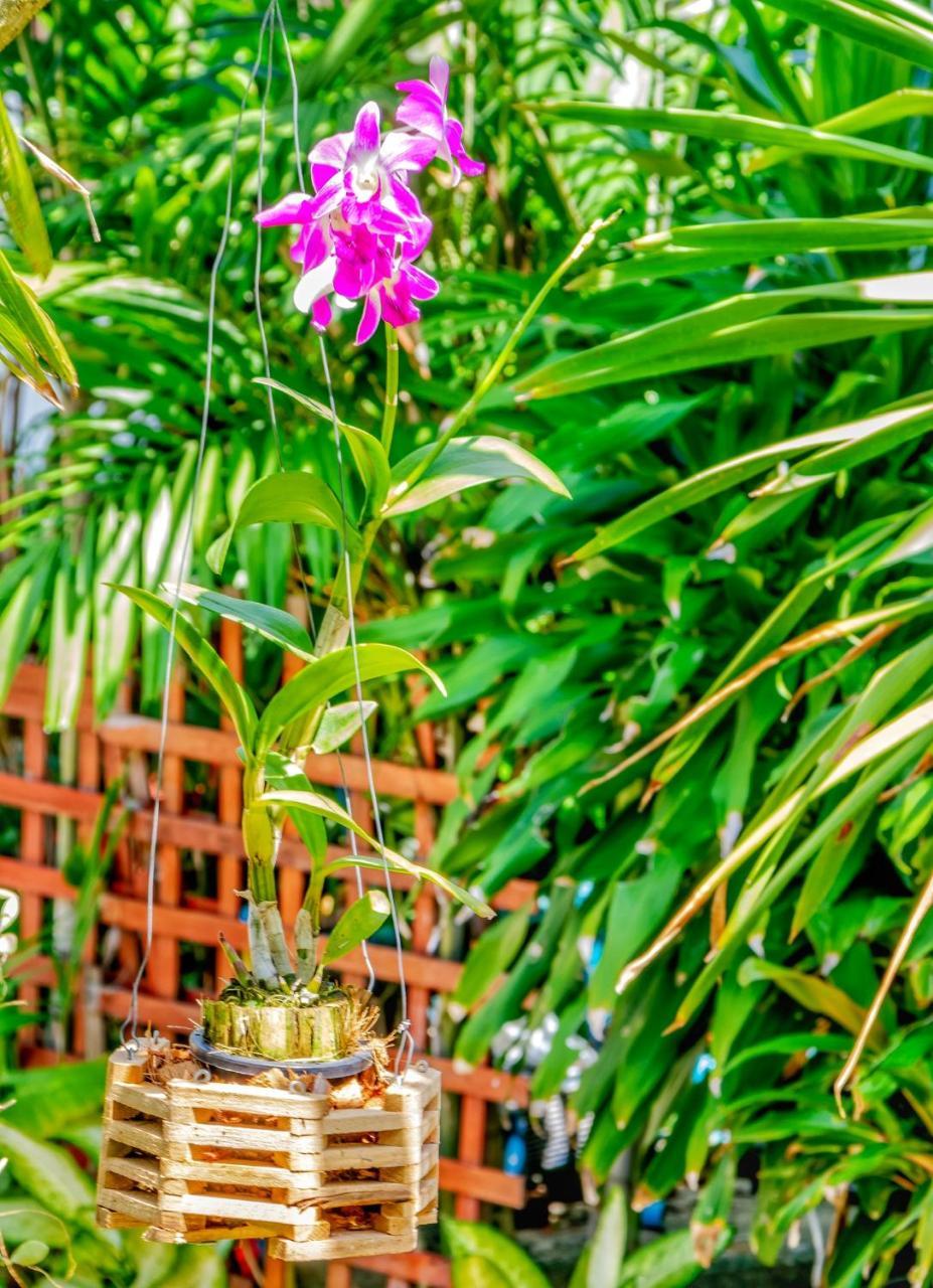 Leaf Phuket - 2* Kata Beach (Phuket)
