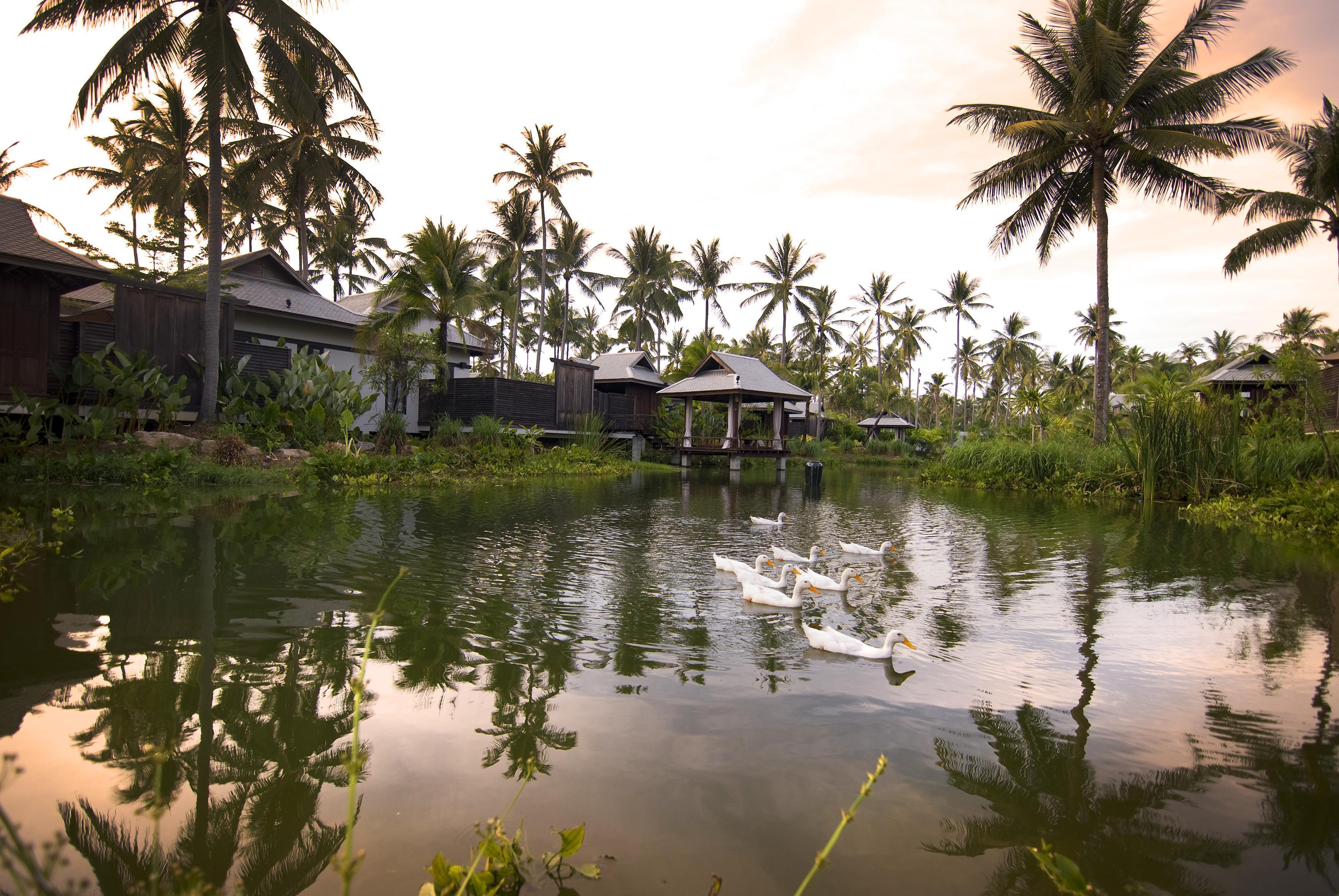 Resort Anantara Phuket 5*