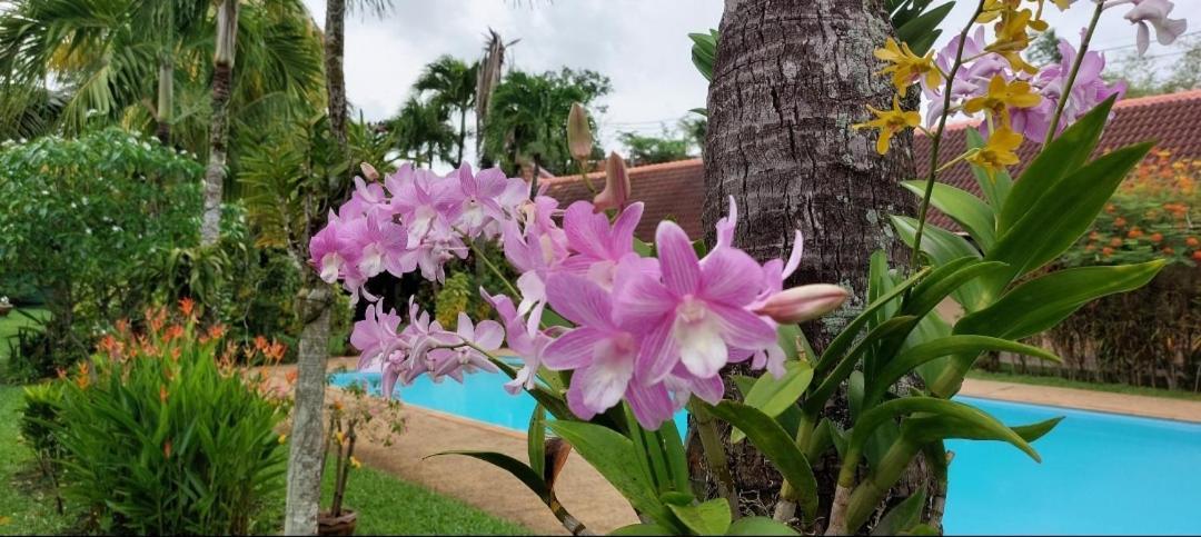 The Golddigger's Resort Nai Yang