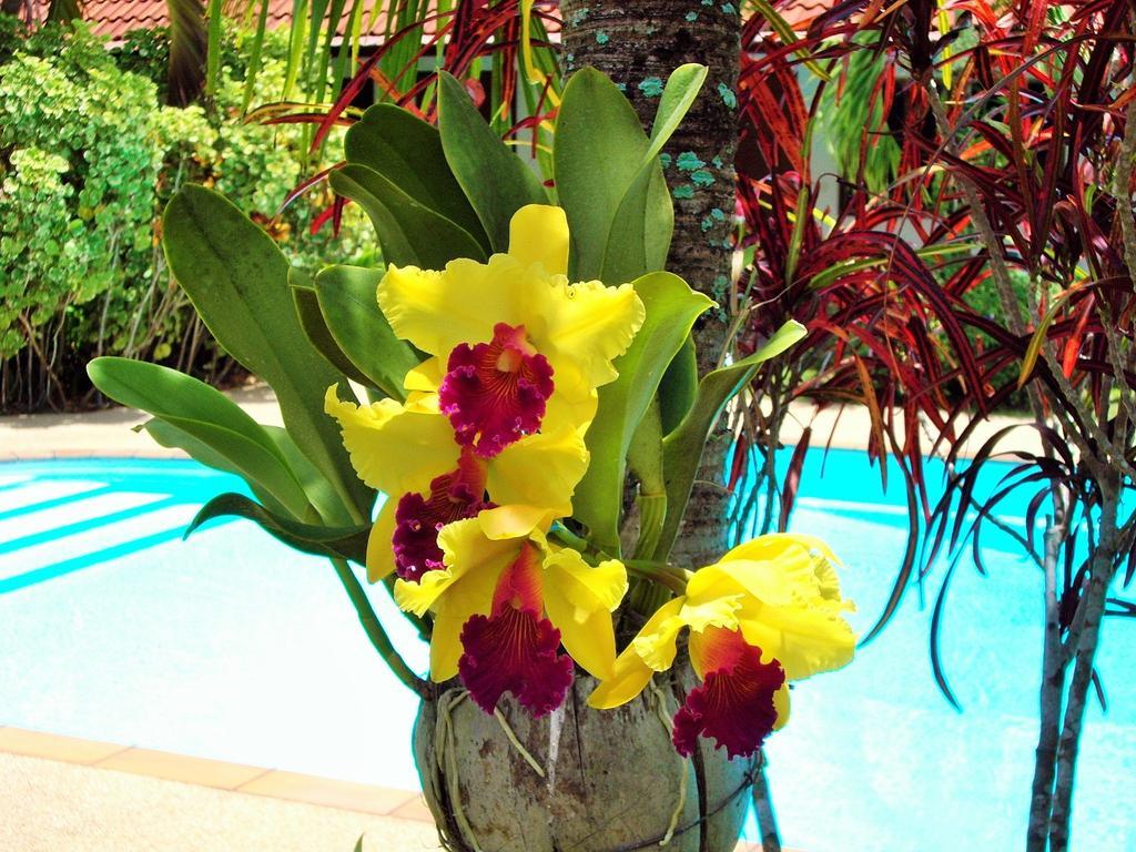 Resort The Golddigger's 3*