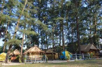 Micky Monkey Phuket Maikhao Thailand Holiday home *