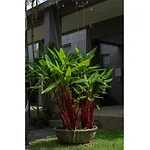 Villa Java| 2 Bedroom Private Pool Villa In Popular Onyx Villas | 3 Min To Naiharn Beach