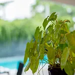 Lemonade Phuket Hotel -Sha Plus