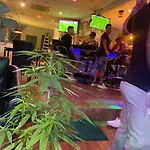 Green Mango Guesthouse