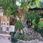 Baan Sikhao Yanui