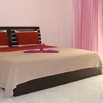 Candy House