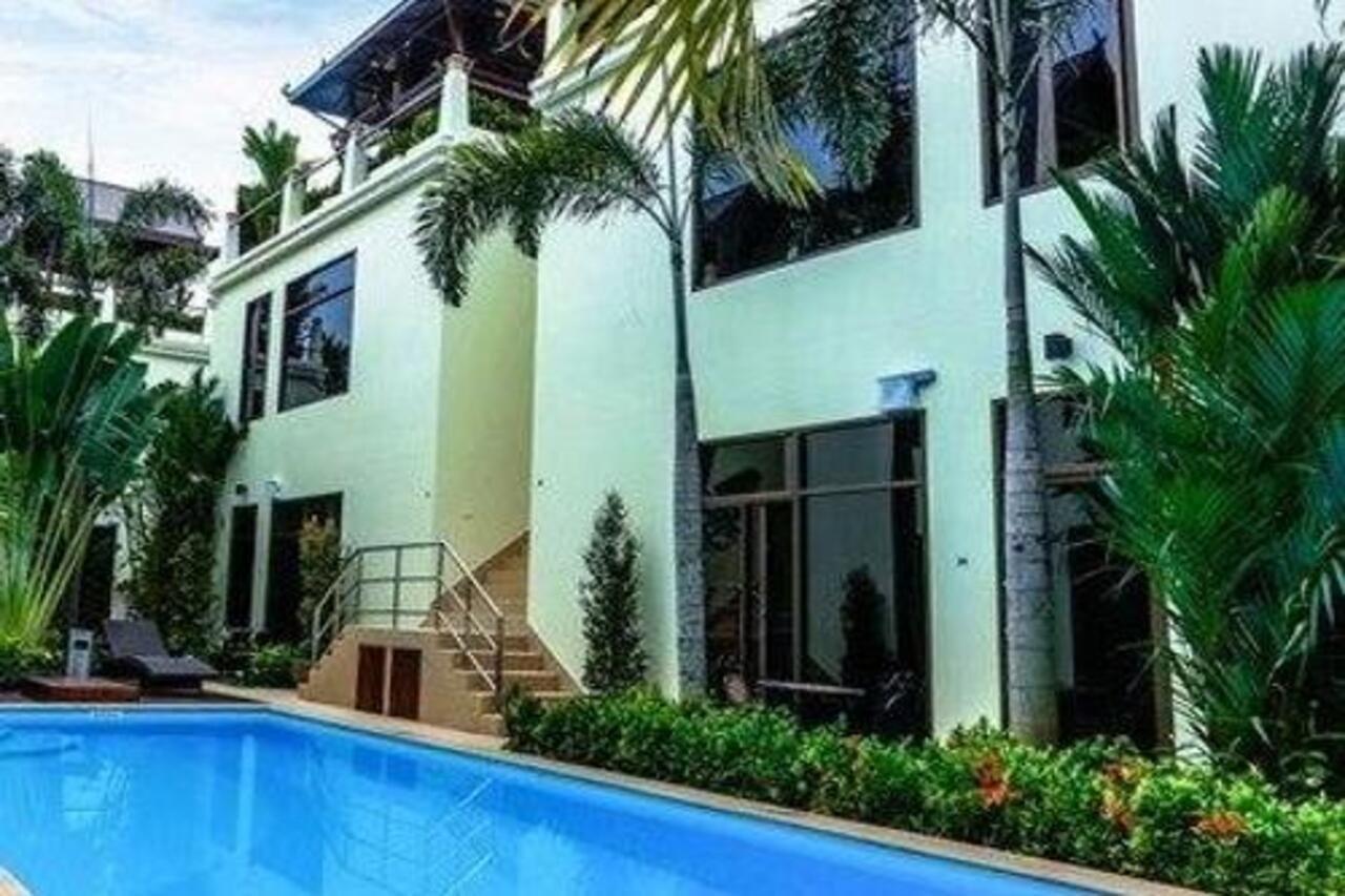 Palm Oasis Apartment