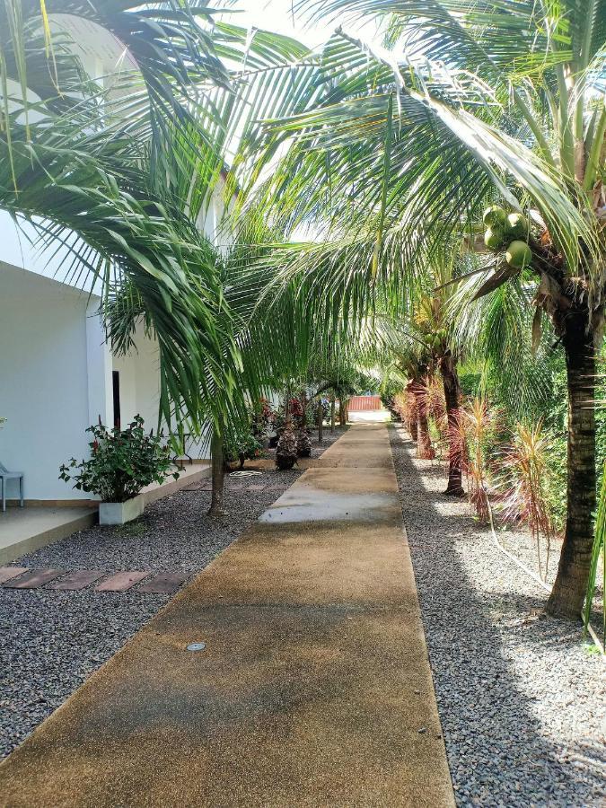 Coconoi Apartment