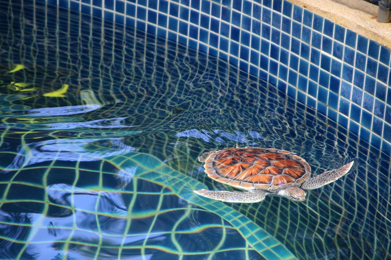 Jw Marriott Phuket And Mai Khao