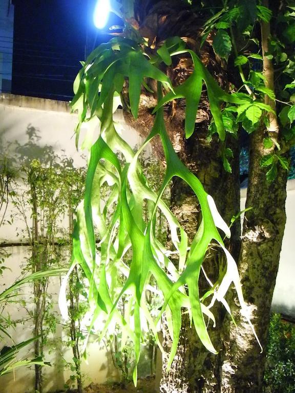 House Phuket Apartment Pa Khlok
