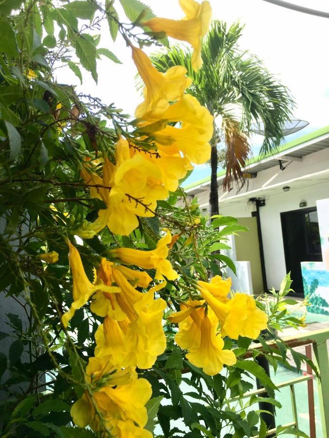 Whale Resort Rawai