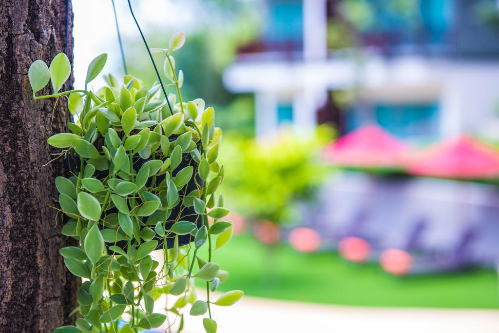 Resort Crystal Wild Phuket