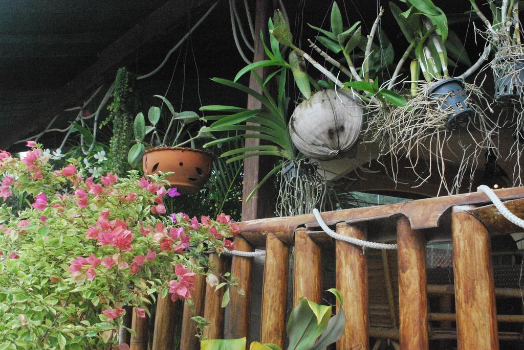 Similan Inn