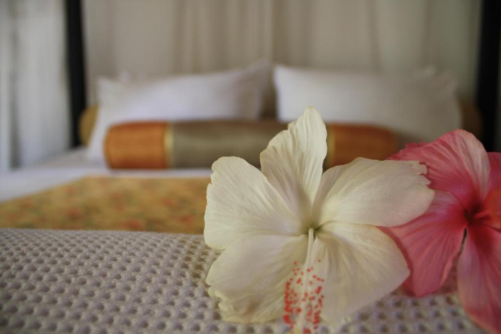 Sea Pines & Liberg Resort 3*