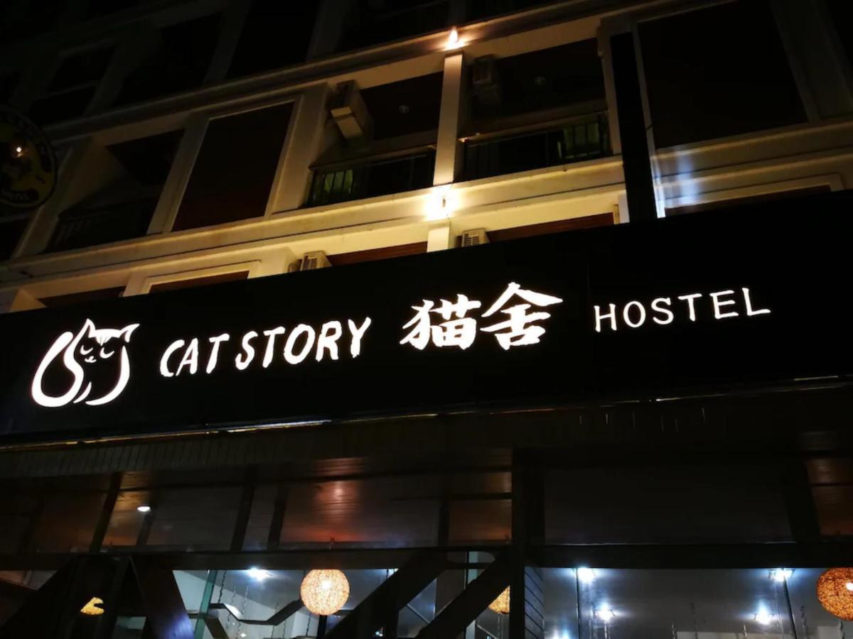 Hotel Cat Story