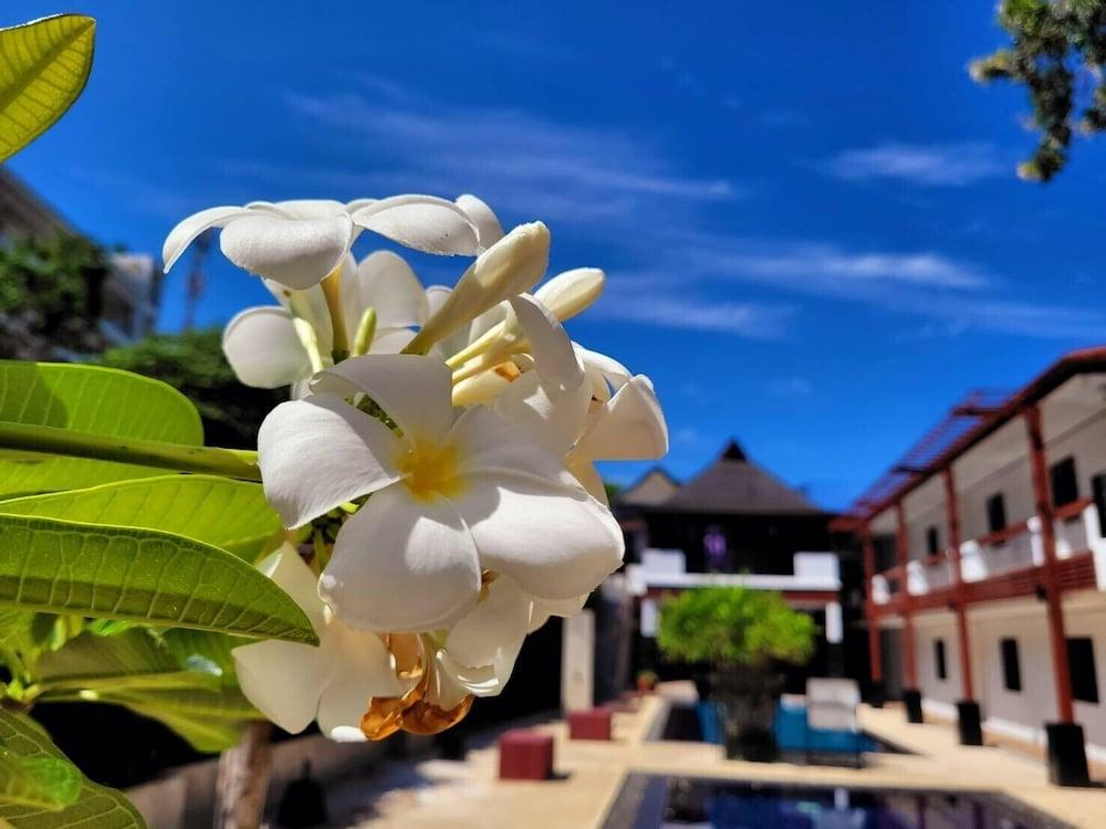 Surintra Boutique Surin Beach (Phuket)