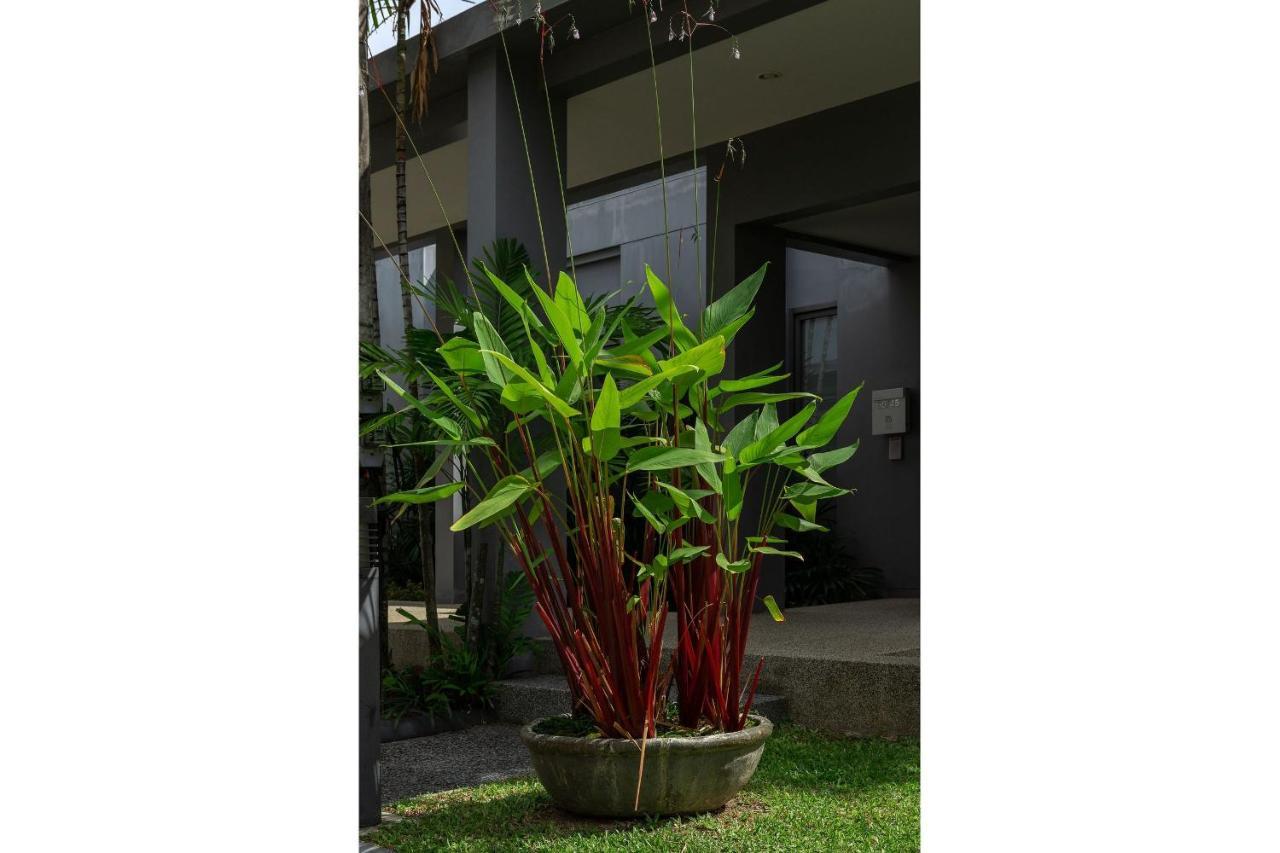 Java| 2 Bedroom Private Pool In Popular Onyx | 3 Min To Naiharn *