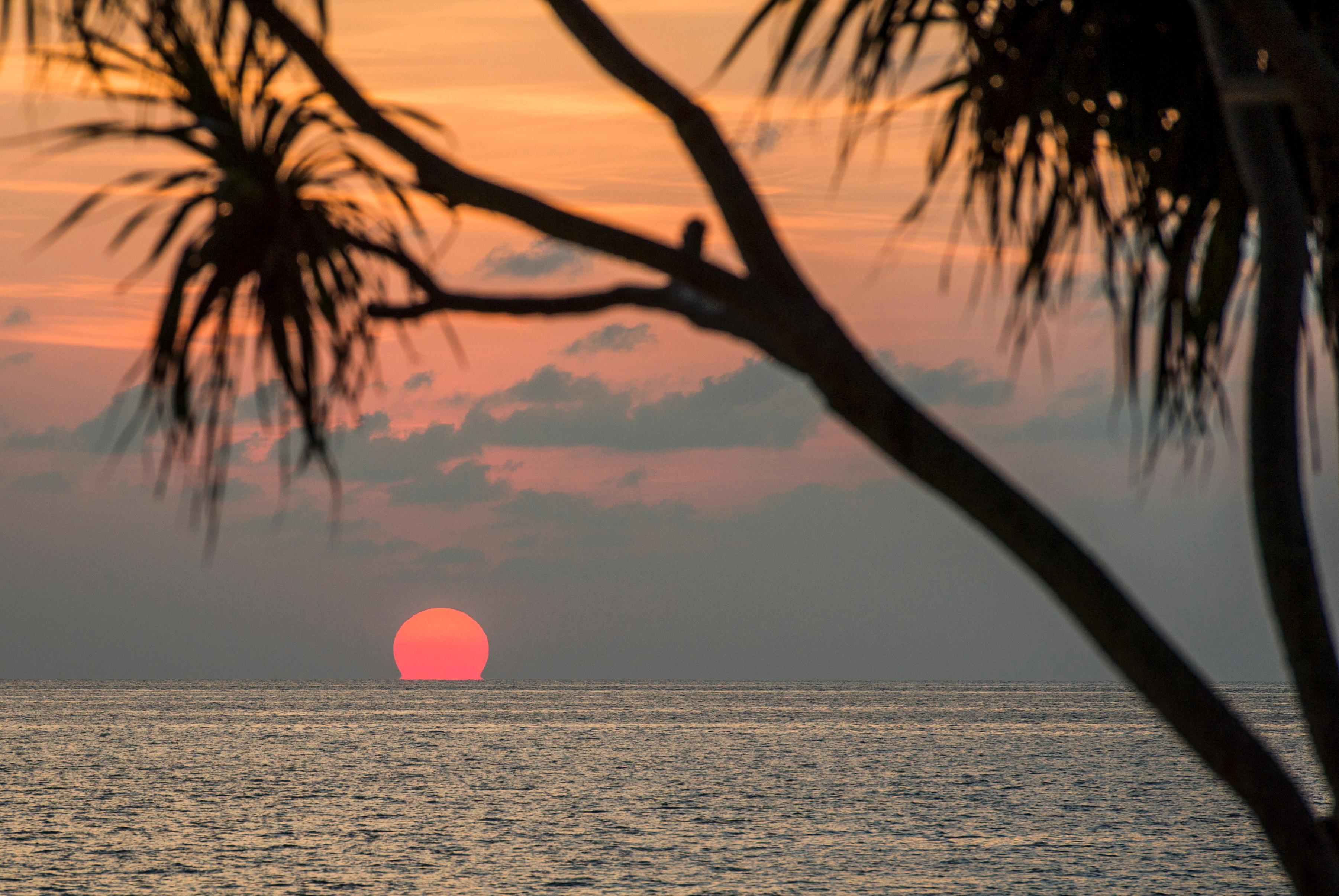 Resort Twinpalms Phuket Surin Beach (Phuket)
