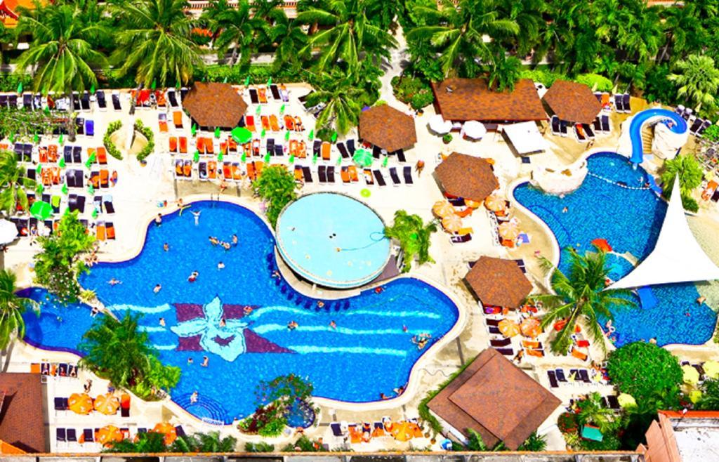 Phuket Orchid And