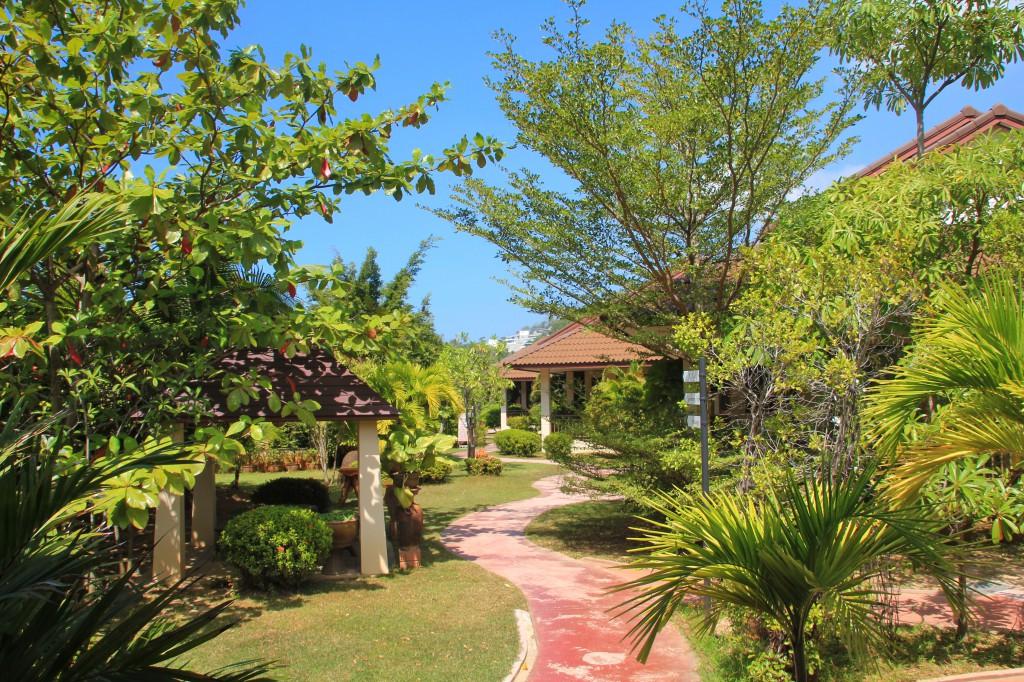 Blu Pine & Pool Access - Sha 4* Phuket