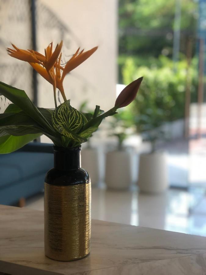 Golden Paradise - Sha Karon