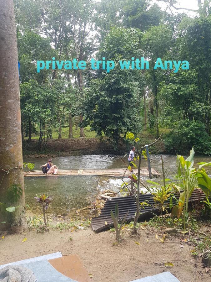 Home&hug Homestay