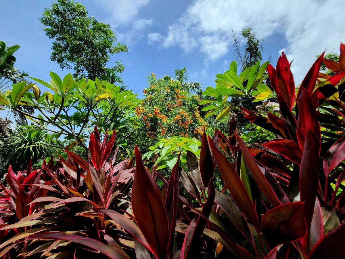 Garden Sha Extra Kata Beach (Phuket)