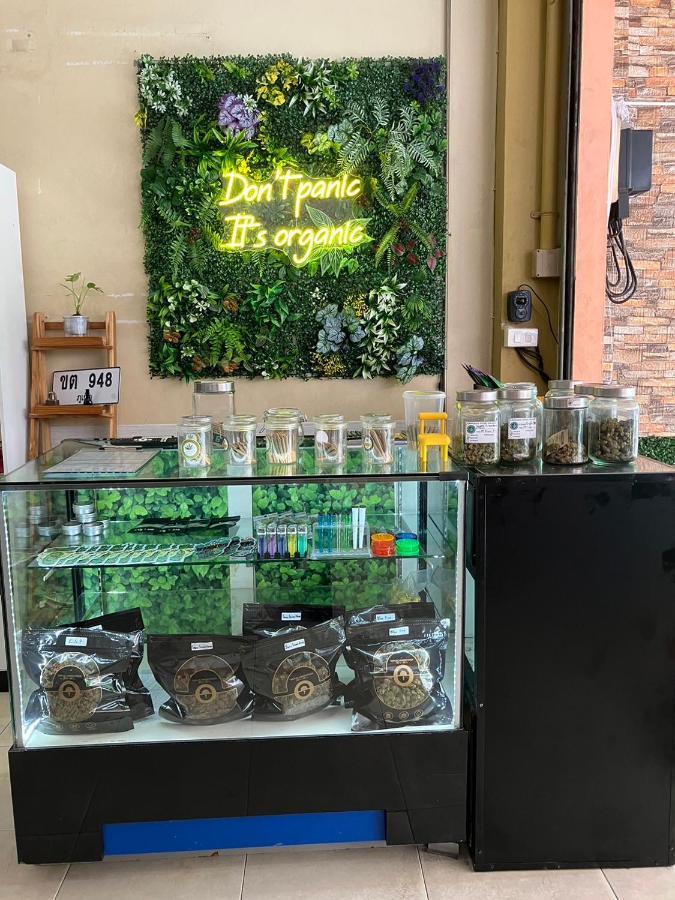 Bed & Breakfast Cozy Place - Free Weeds *