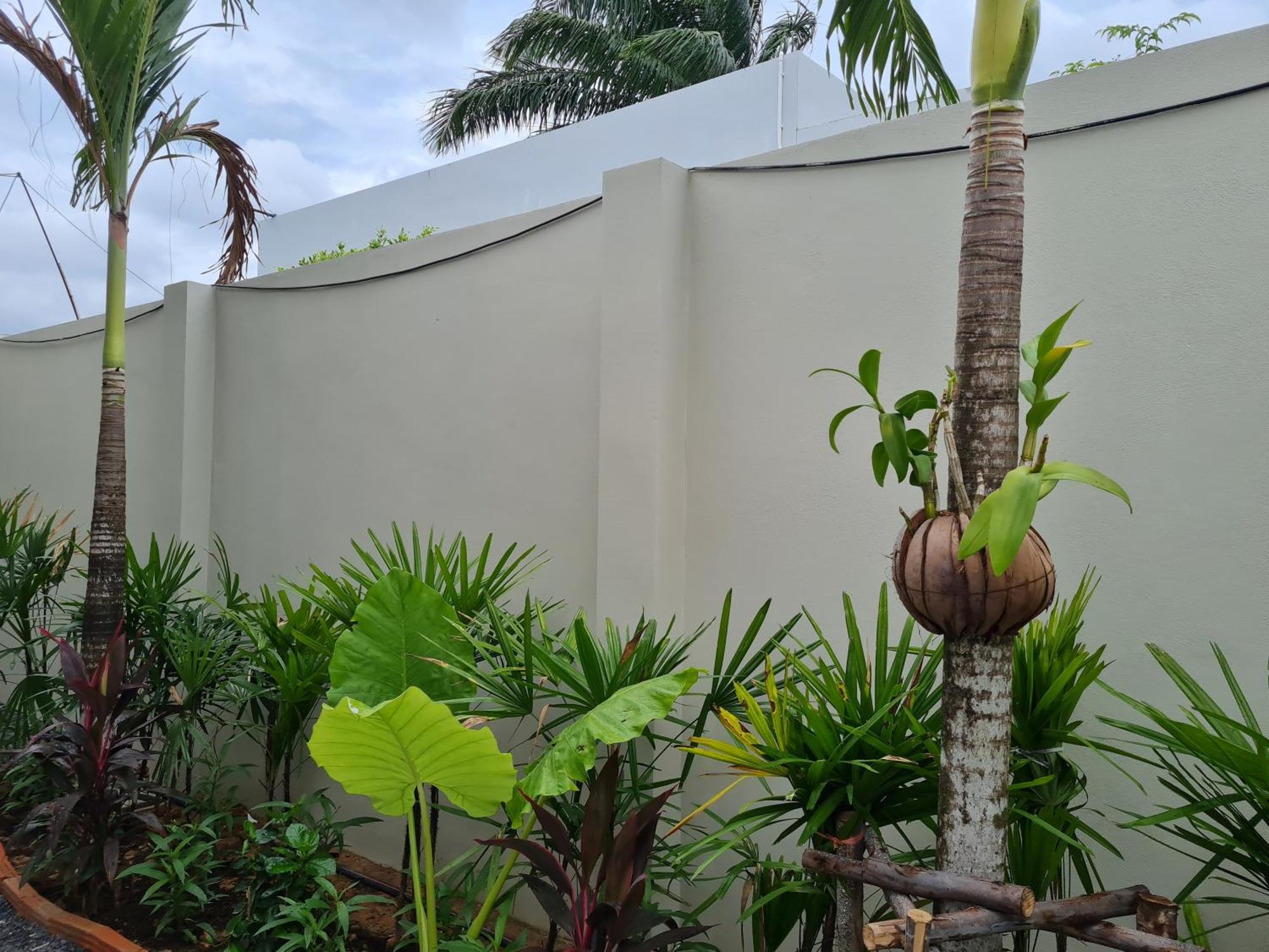 La Phuket Pool *