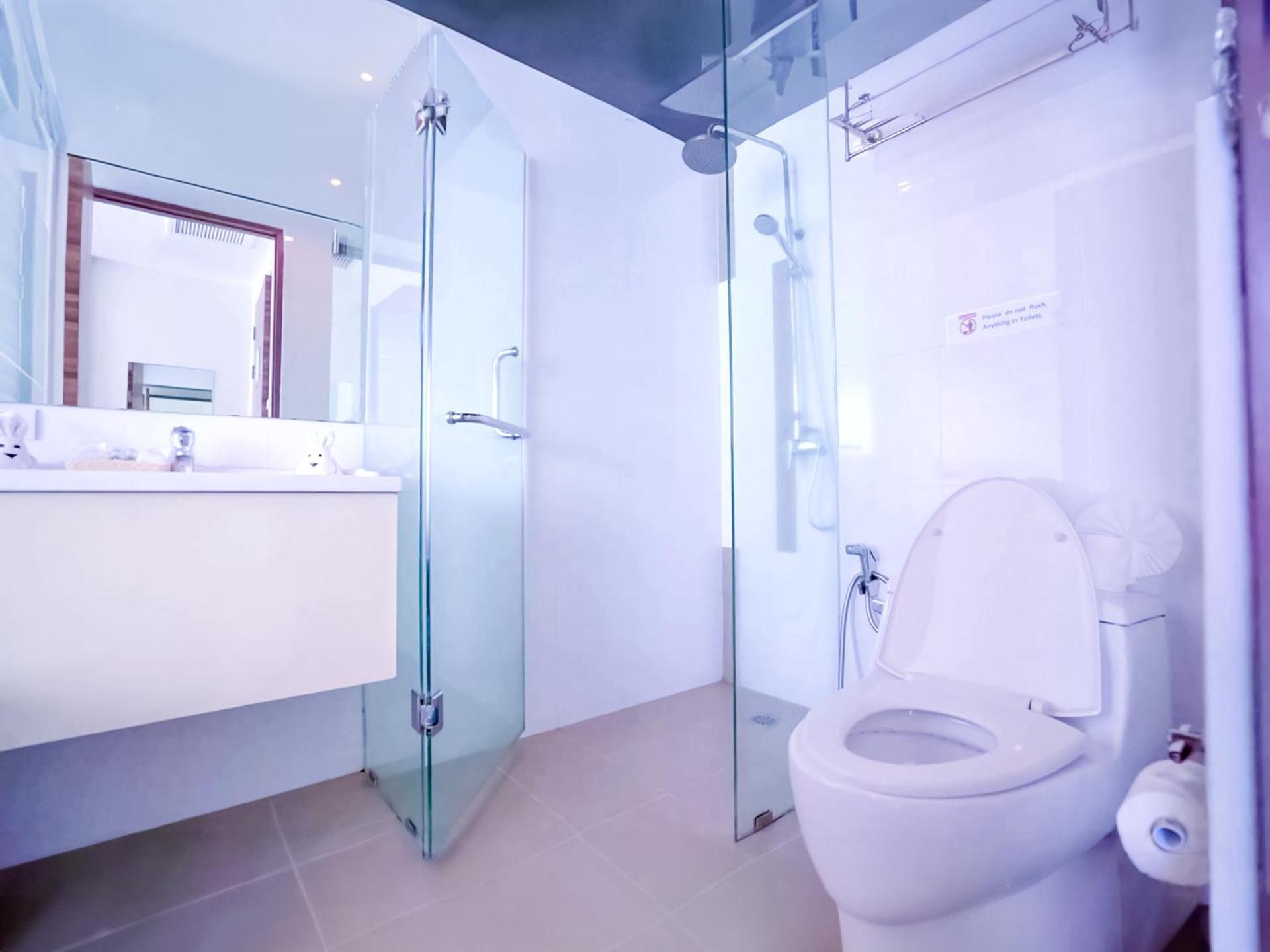 Hotel Phoenix Grand 4*