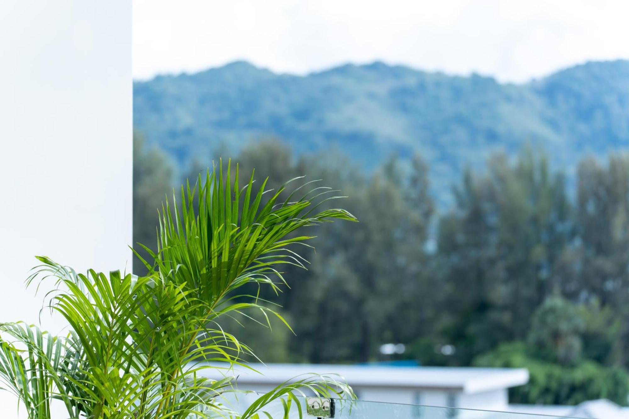 Sole Mio Boutique And Wellness - Adults Only 5*