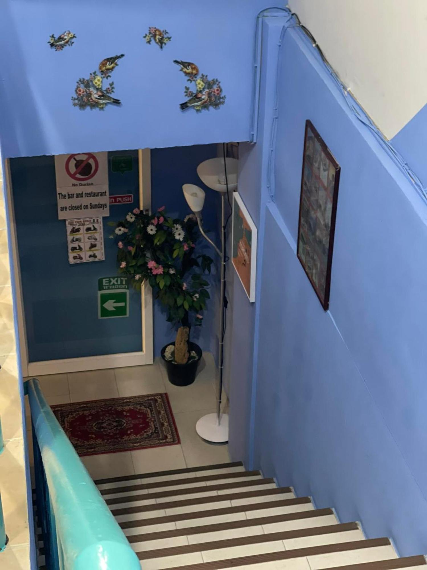 San Antonio & Restaurant Guest house