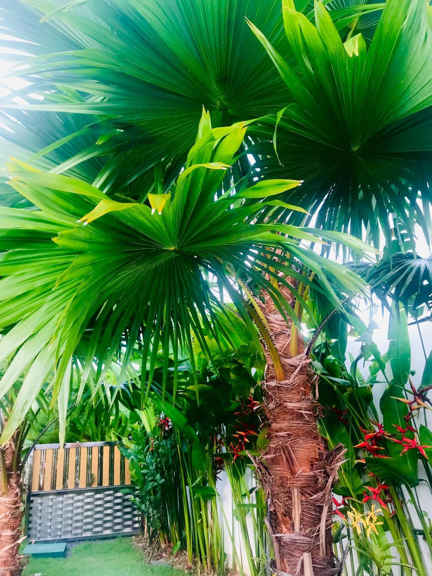 Mai Mee Pan Ha 3 Bedrooms Villa Phuket