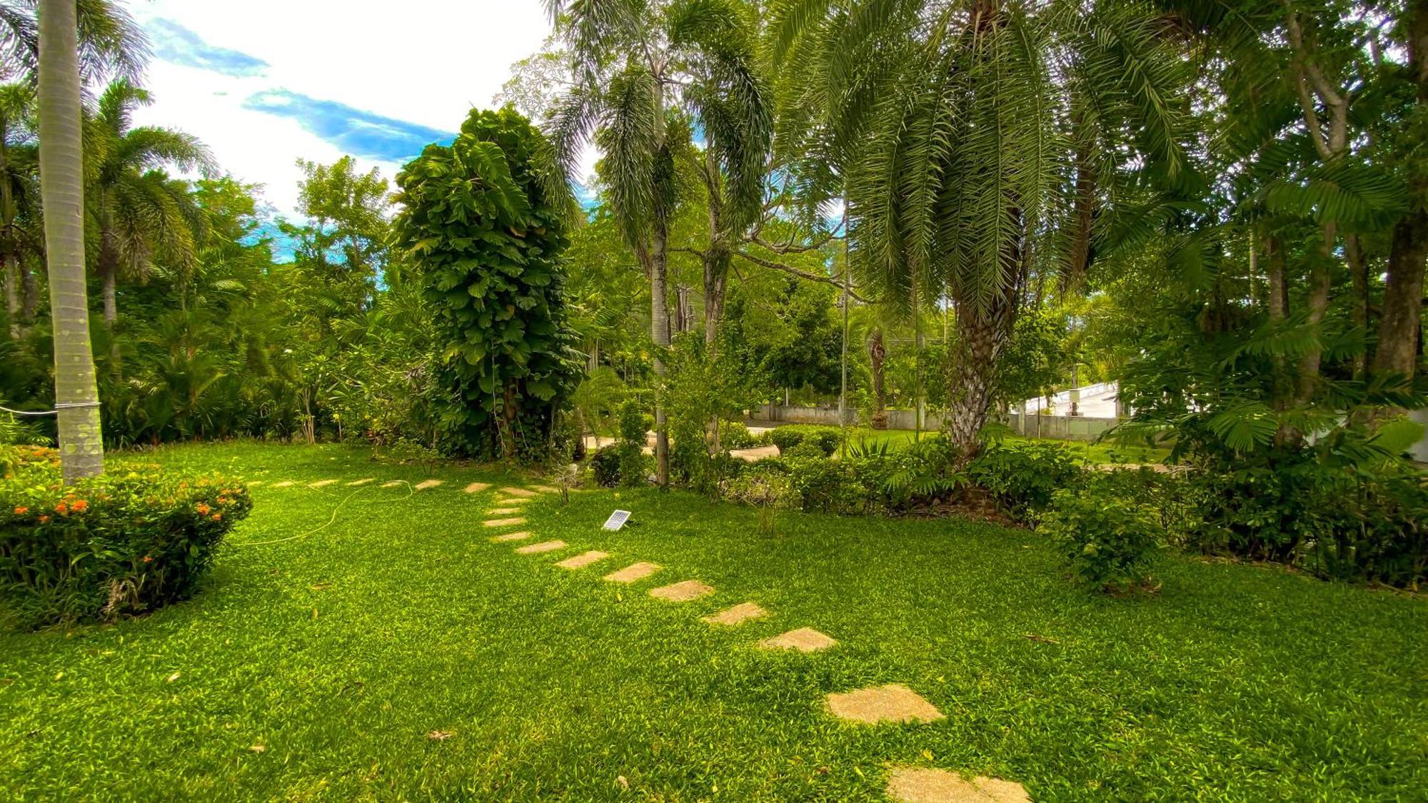 Villa Tropical Garden *