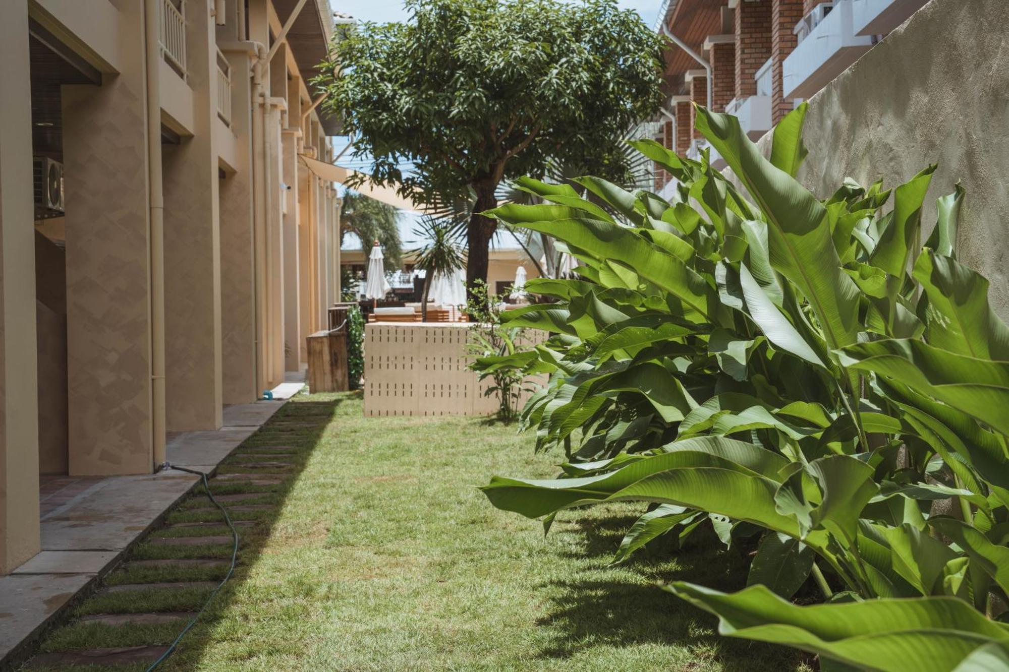 Casa Solana