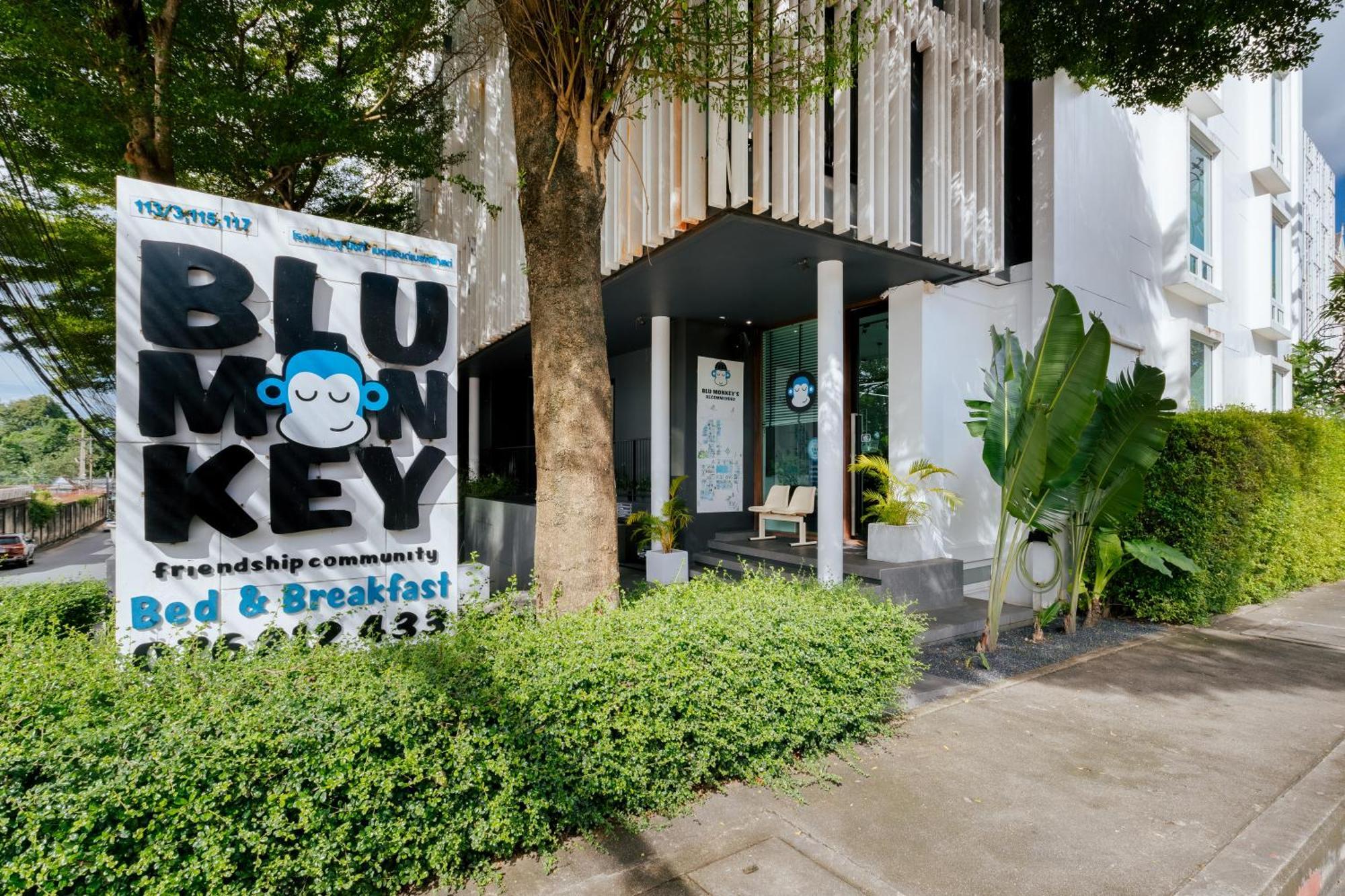 Blu Monkey