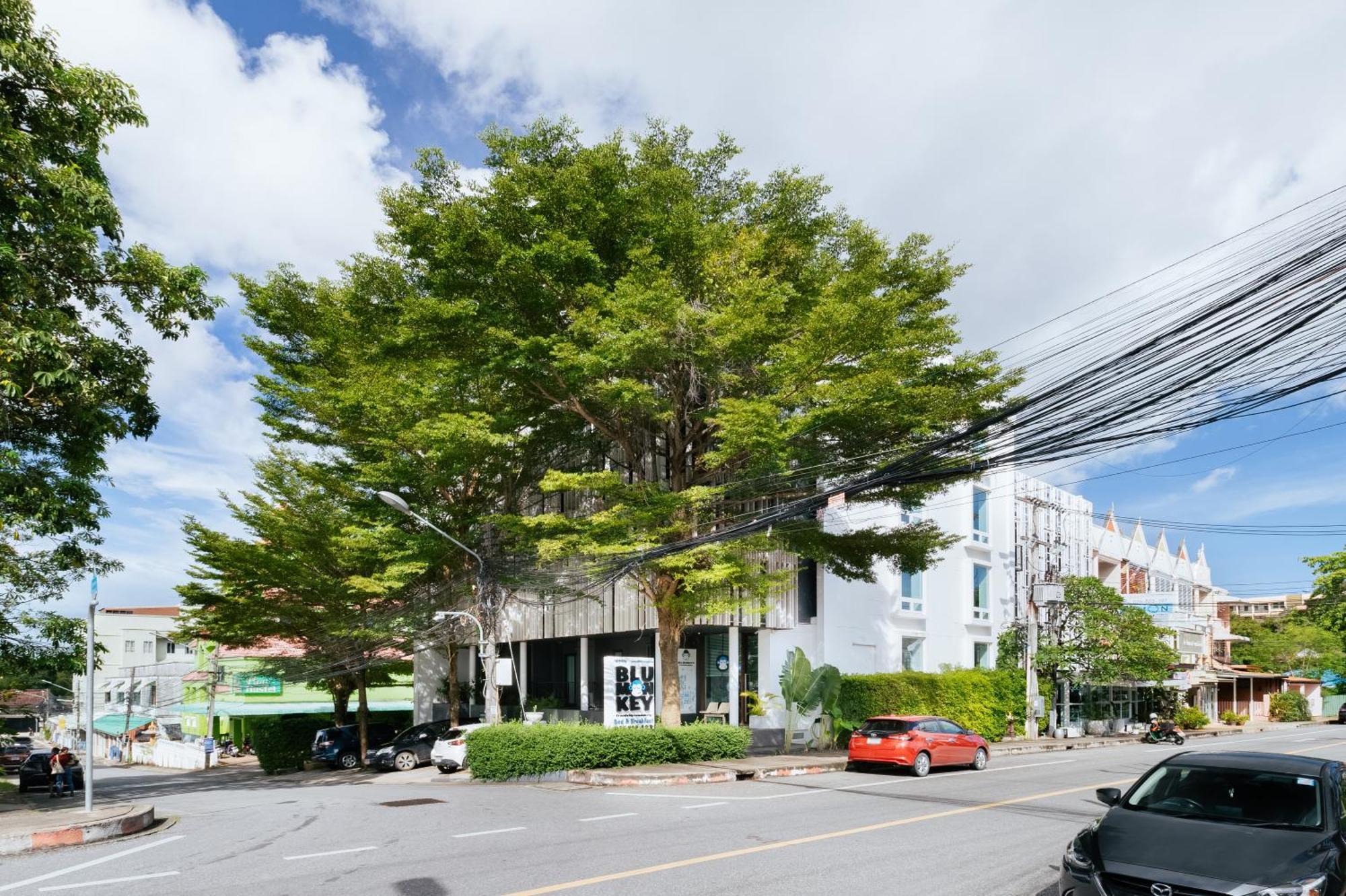 Hotel Blu Monkey 3*