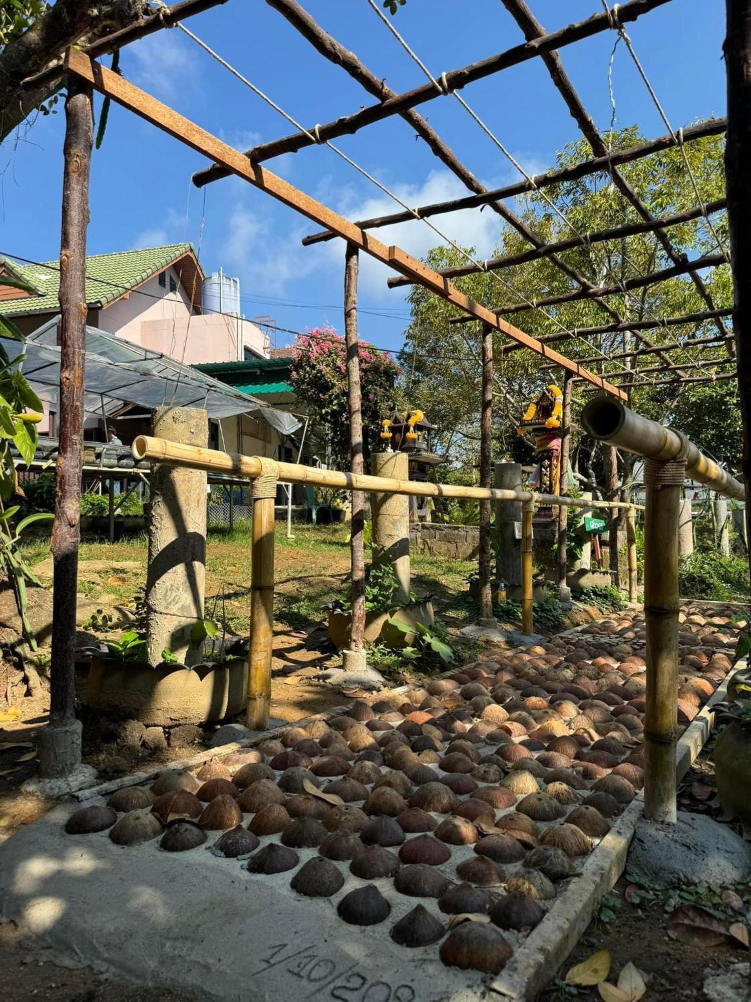 Campsite Greenheart Garden View Camp Phuket