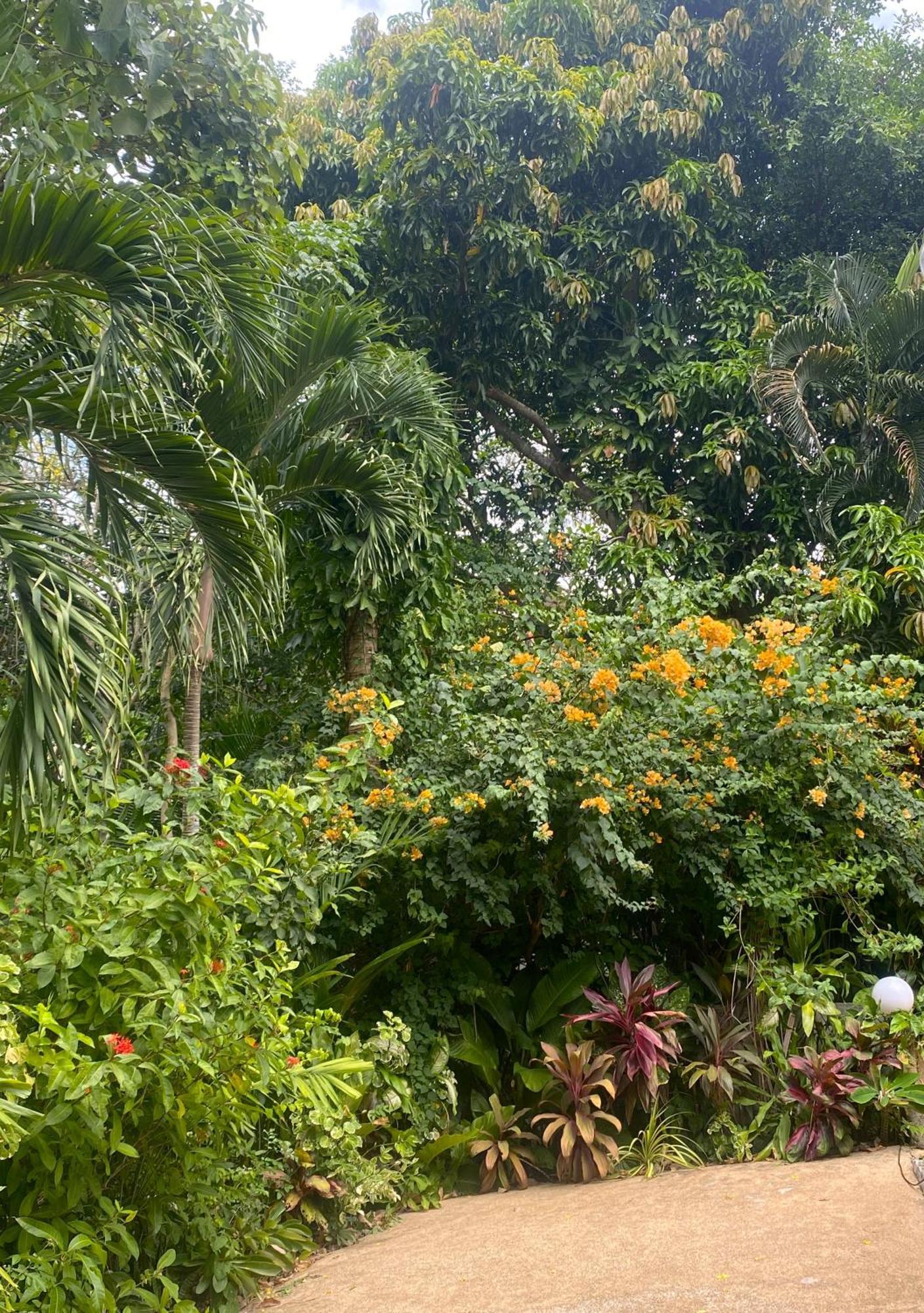 Oasis & Villa