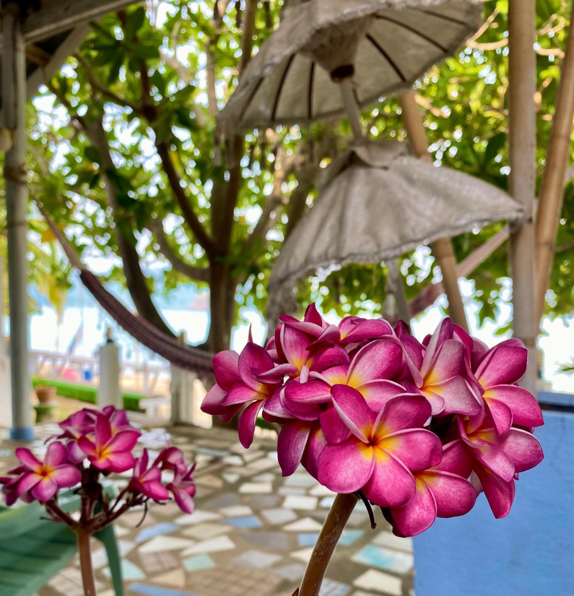 Locanda Sunset Village - Season Retreat