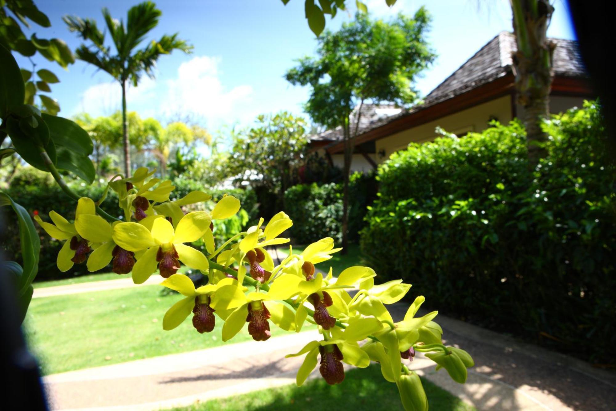 Resort Pai Tan - Sha Extra