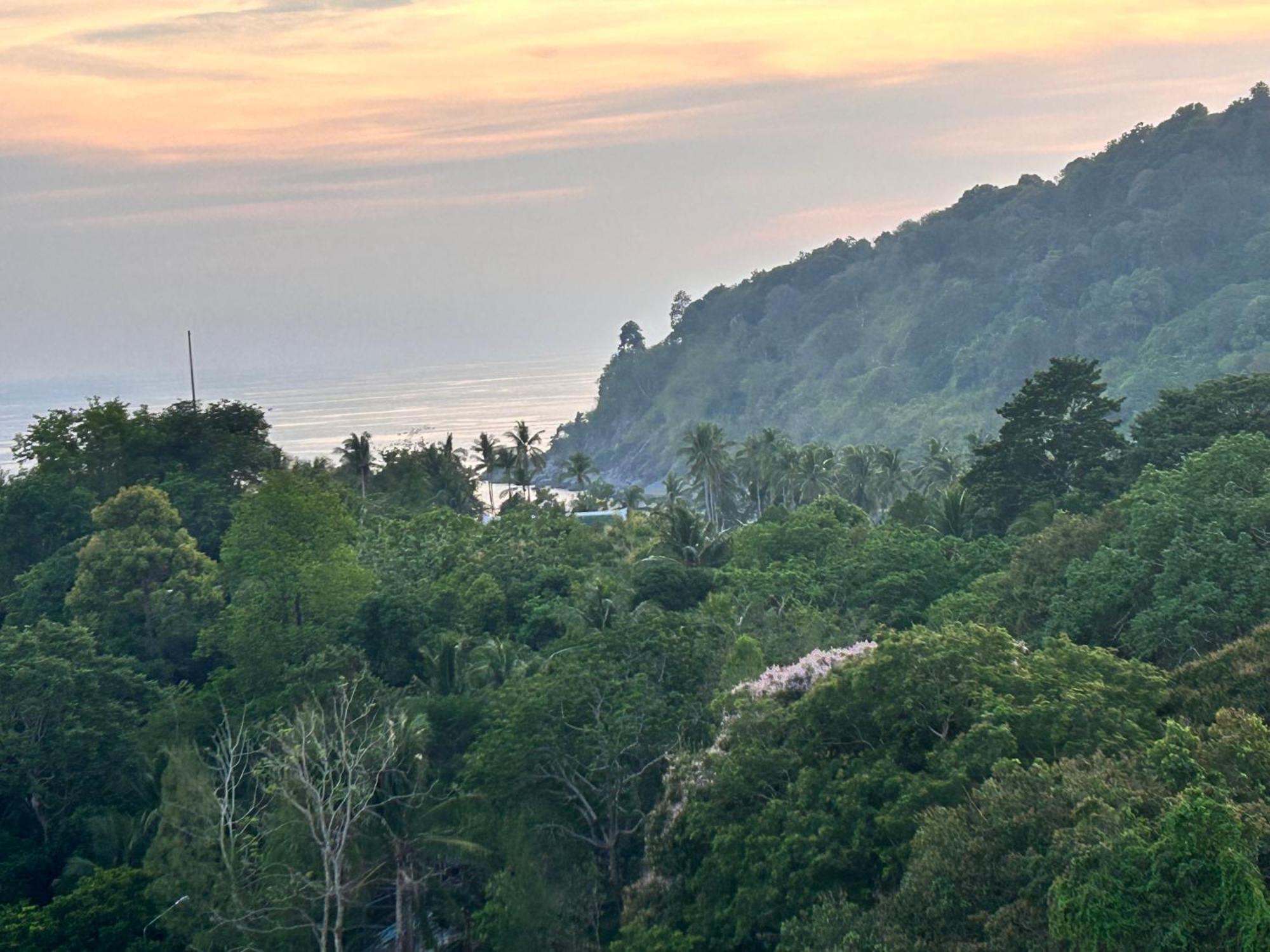 The Viva High Patong