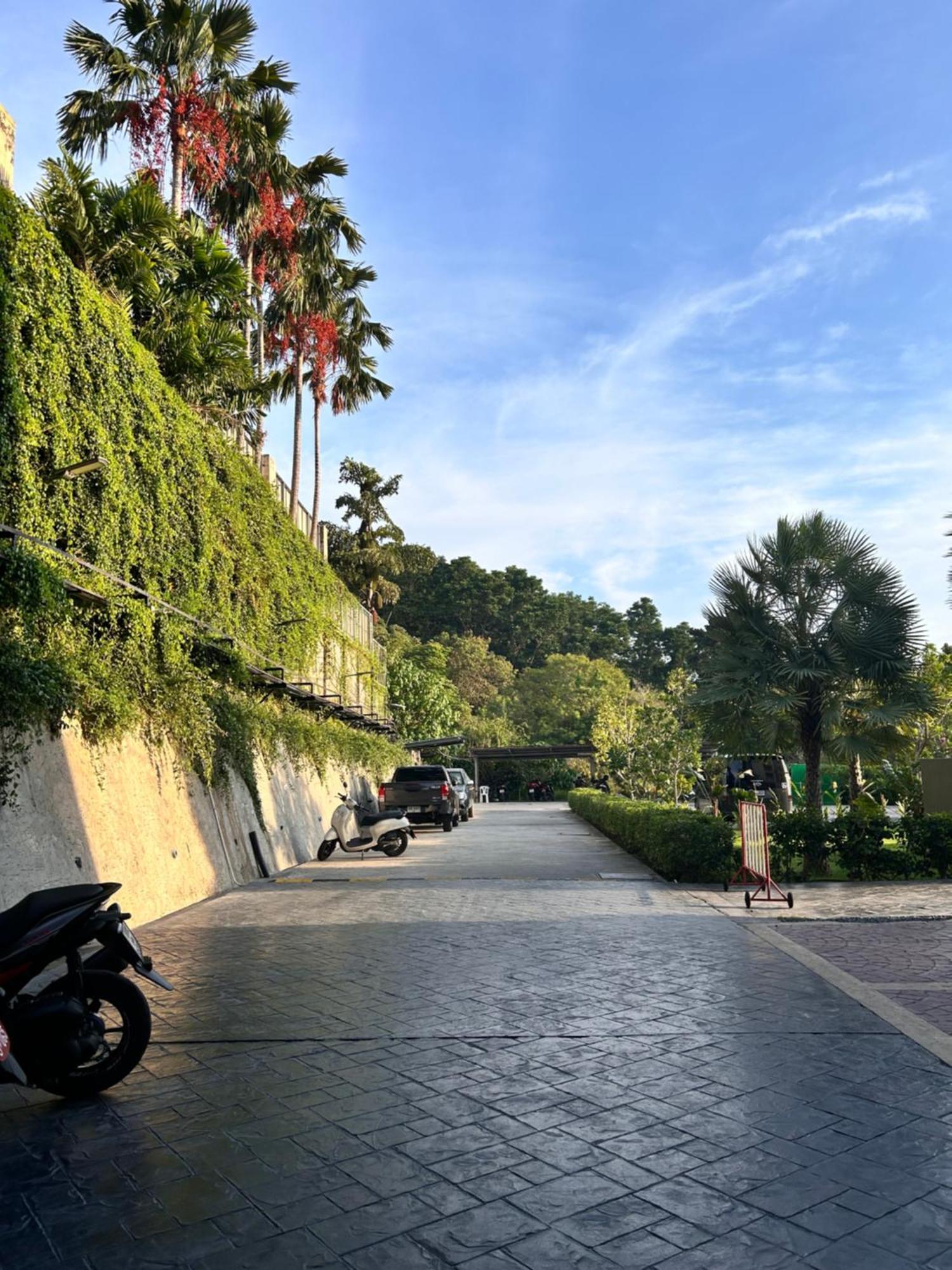 The Viva High Patong