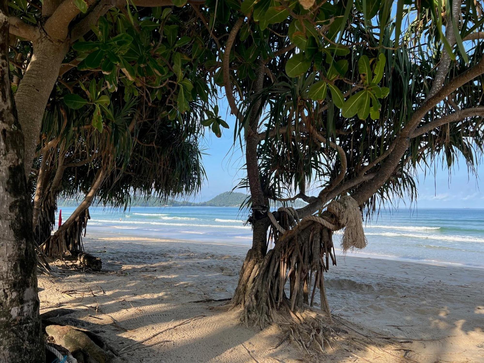 Beachside Luxury Condo: Smart Living With Ocean Proximity Apartment