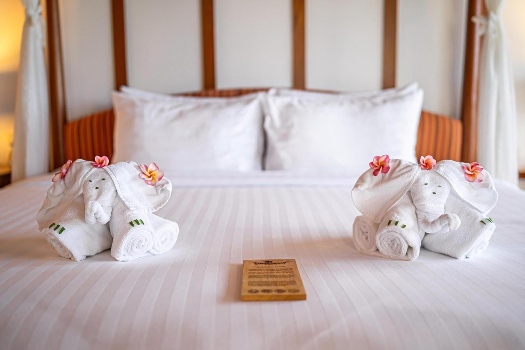 Orchidacea - Resort Kata Beach (Phuket)