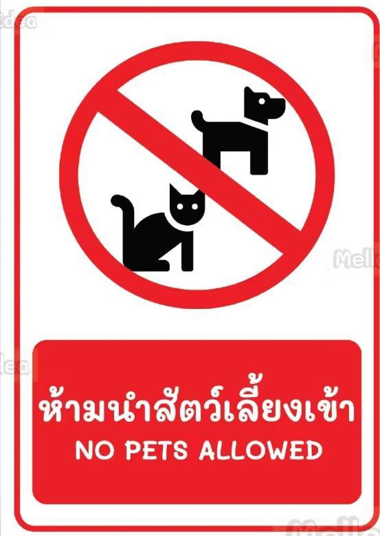 San Antonio & Restaurant 2* Kata Beach (Phuket)